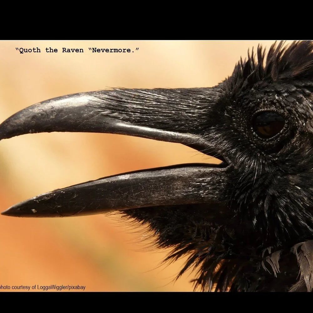 Raven Calendar 2027 Ravens Planner with The Raven by Edgar Allan Poe Poetry